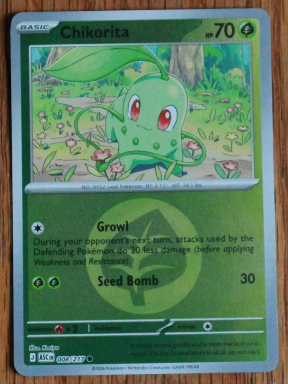 Pokemon 